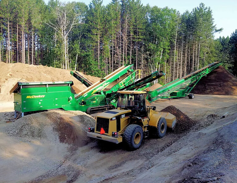 inside body img 768x593